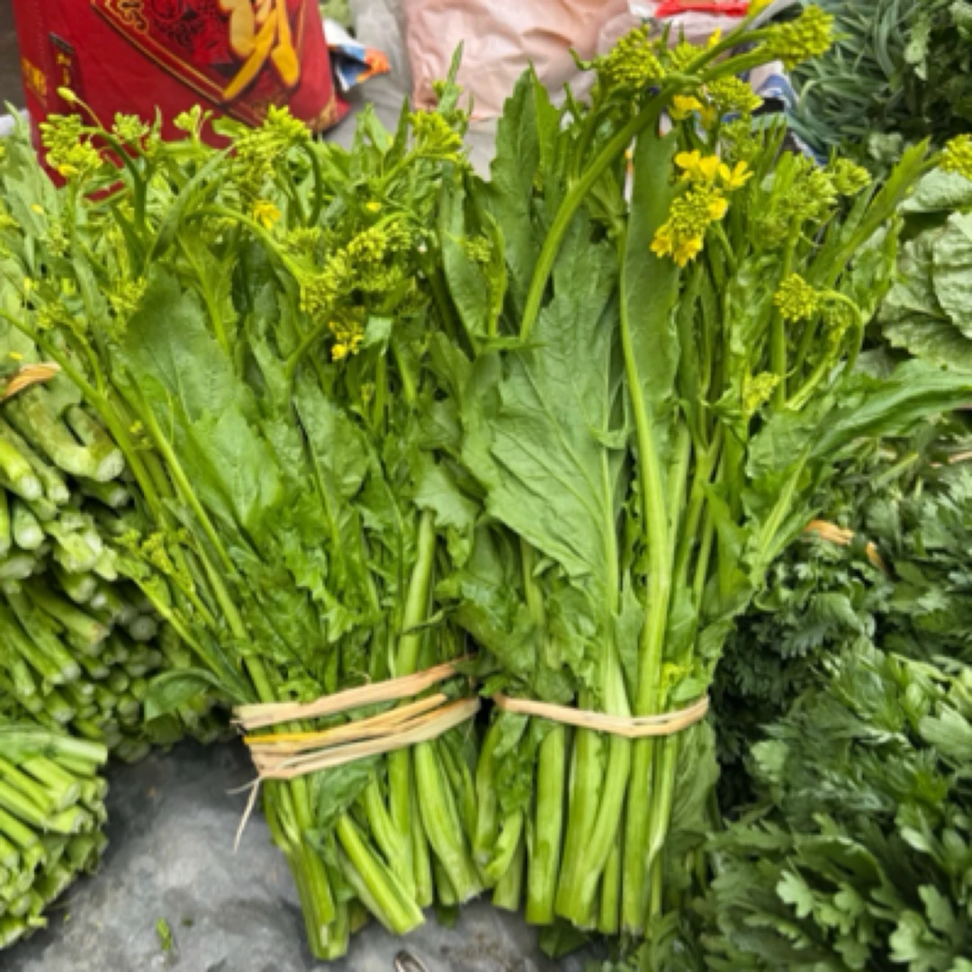 重庆农户露天种植青菜苔农家肥青菜苔农家种植新鲜青菜苔新鲜蔬菜