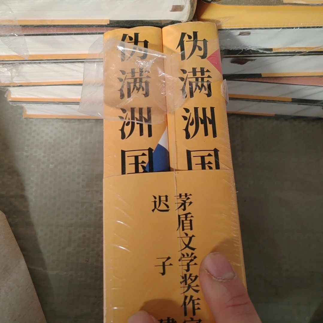 伪满茅盾文学奖作家迟子建老师写的1套书