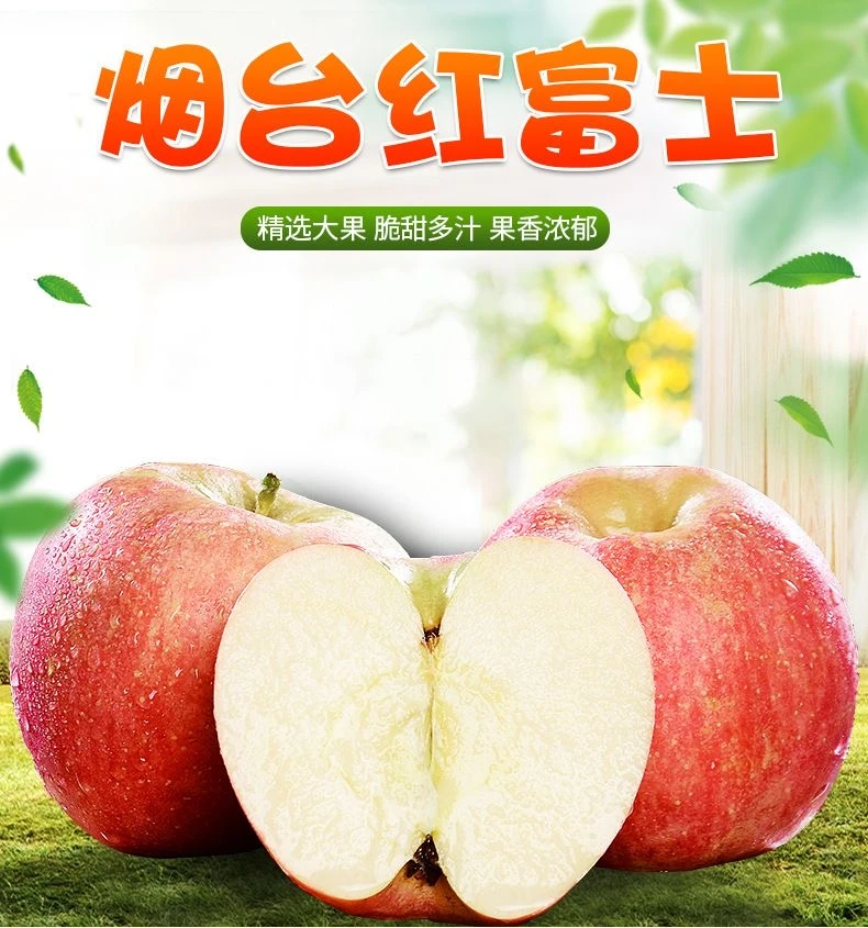 烟台栖霞红富士苹果新鲜当季脆甜多汁产地现摘现发精品烟台苹果