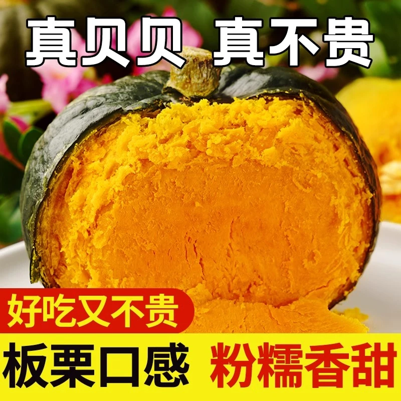沙地贝贝南瓜粉糯香甜板栗味可作宝宝辅食