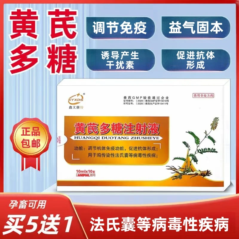 兽药兽用黄芪多糖注射液猪用牛羊宠物狗猫兔抗病毒一号针稀释头孢