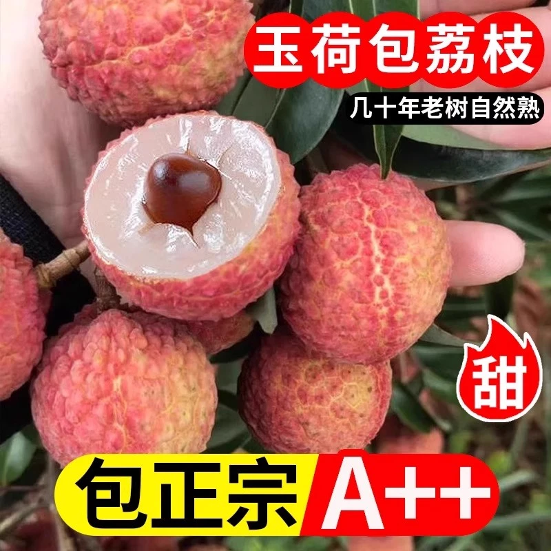 [京东冷链]福建双肩玉荷包荔枝新鲜现摘现发当季水果不泡水整箱