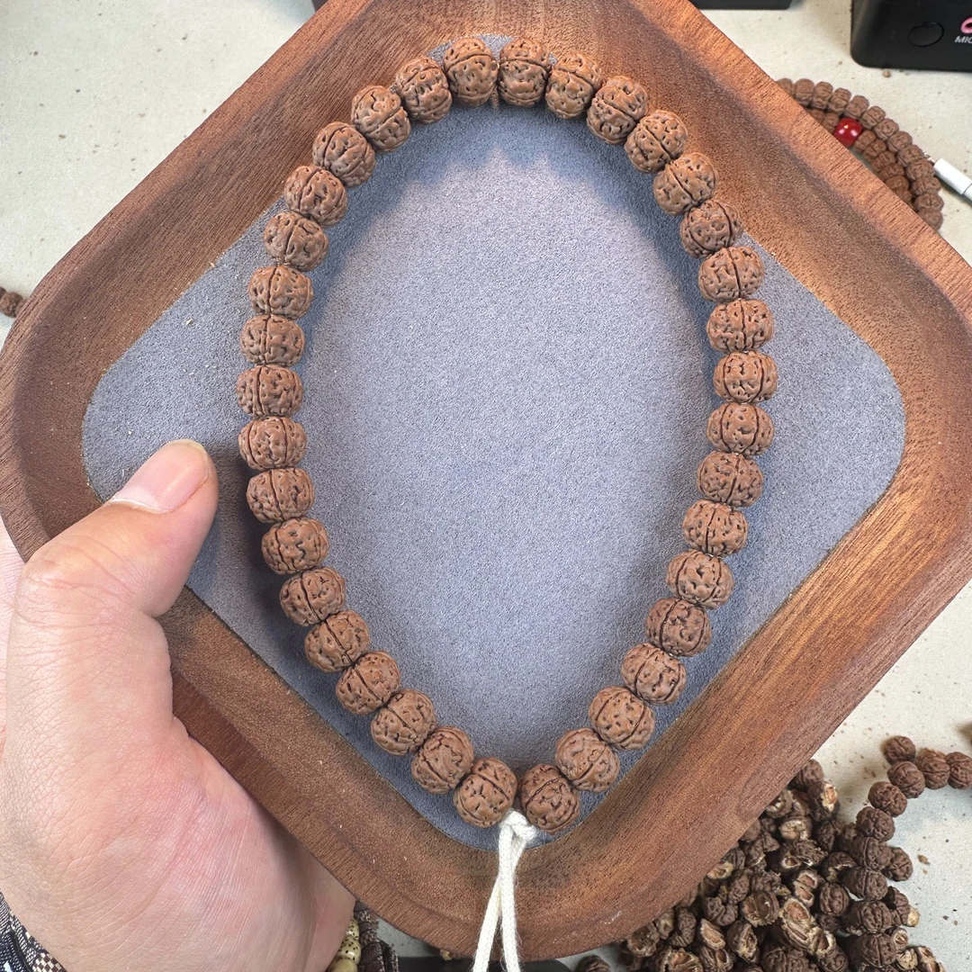 沐沨纯血勿里达老树王巨肉老树王手持