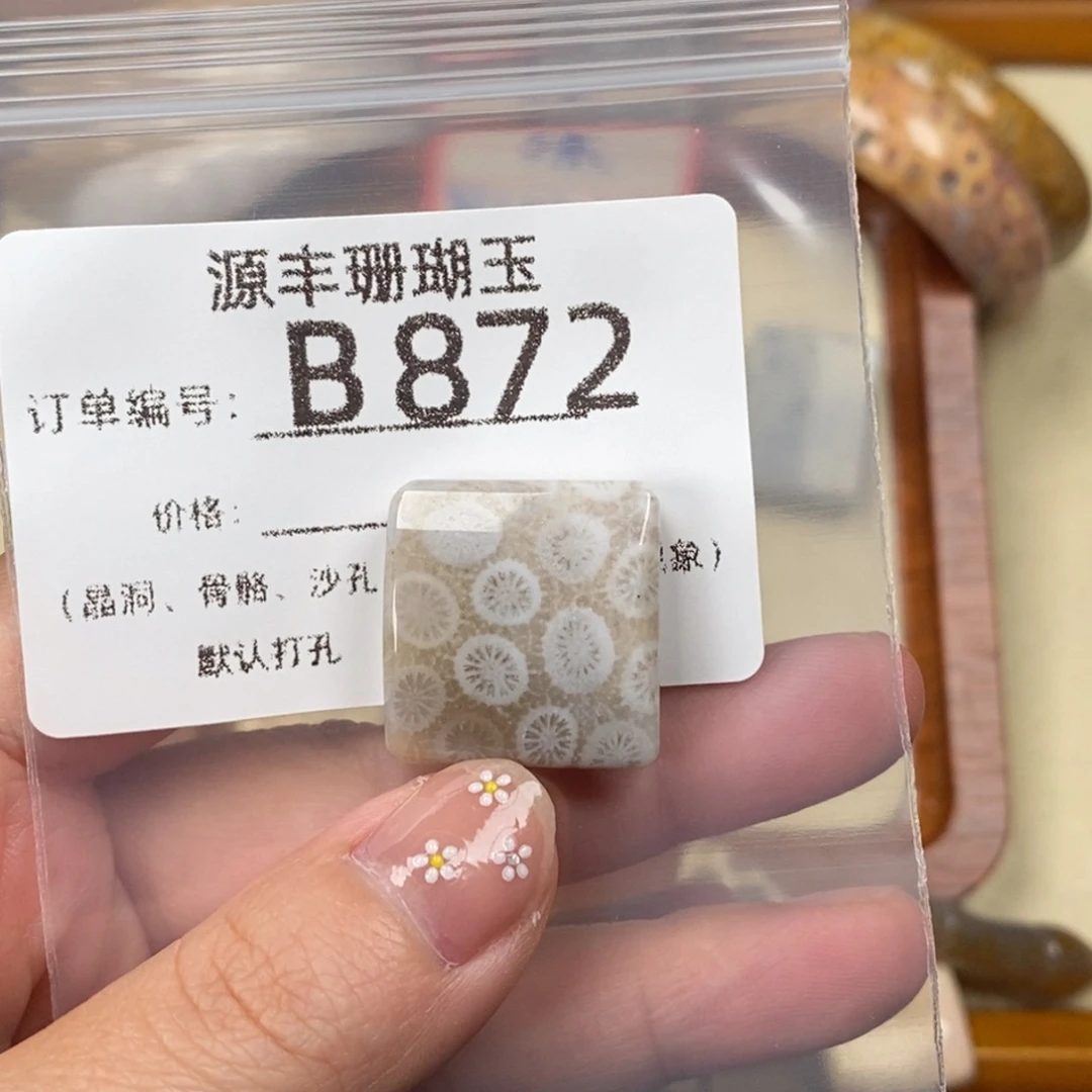 如***华硅化玉未镶嵌颈饰