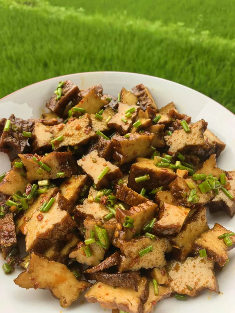 洞口高沙家里制作的卤豆腐