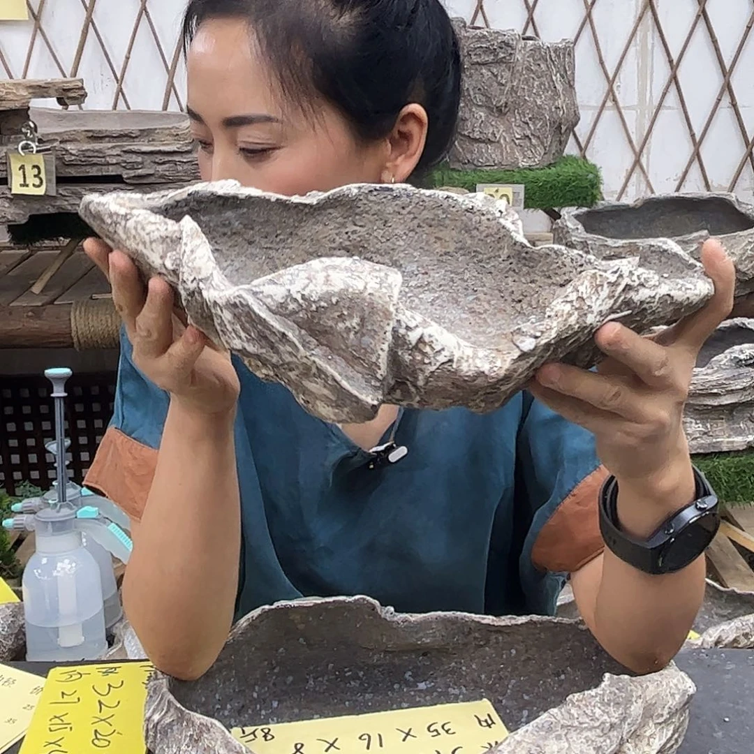 盆景盆盆景盆P1-005