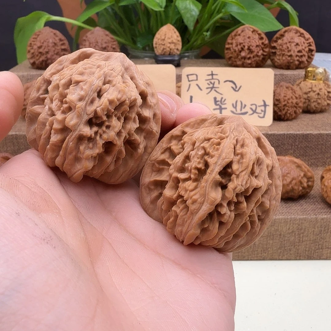 全品四座楼44/42/41