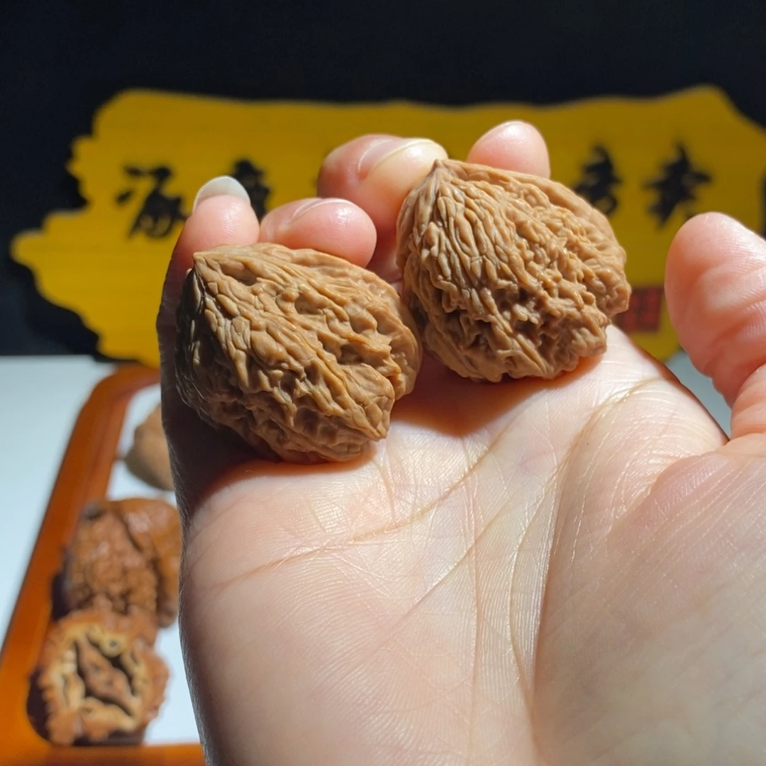 暴***锥大叶紫檀（黑酸枝木类）