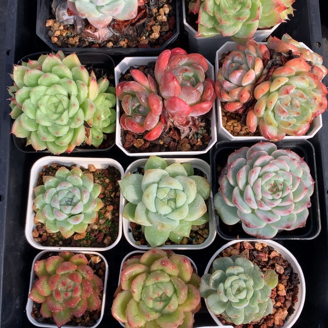 1107-10 套餐一组