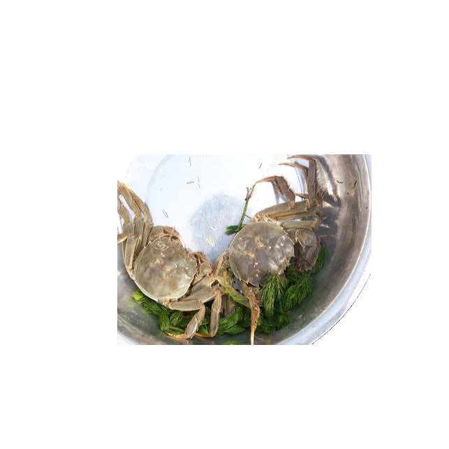 到手16只包邮包活包路损