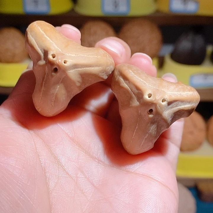 野生三花大橄榄核