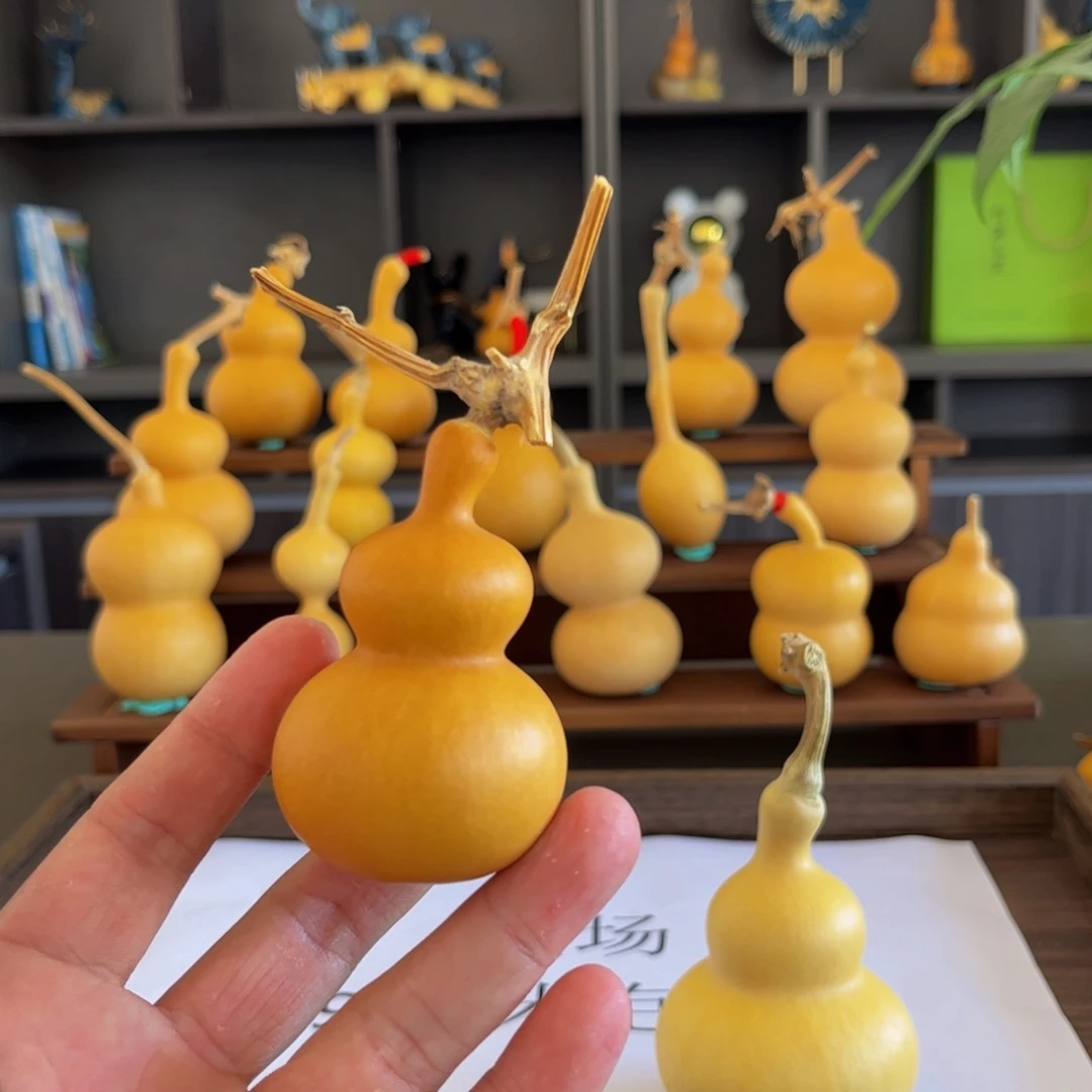 葫芦头上的一个人的时候