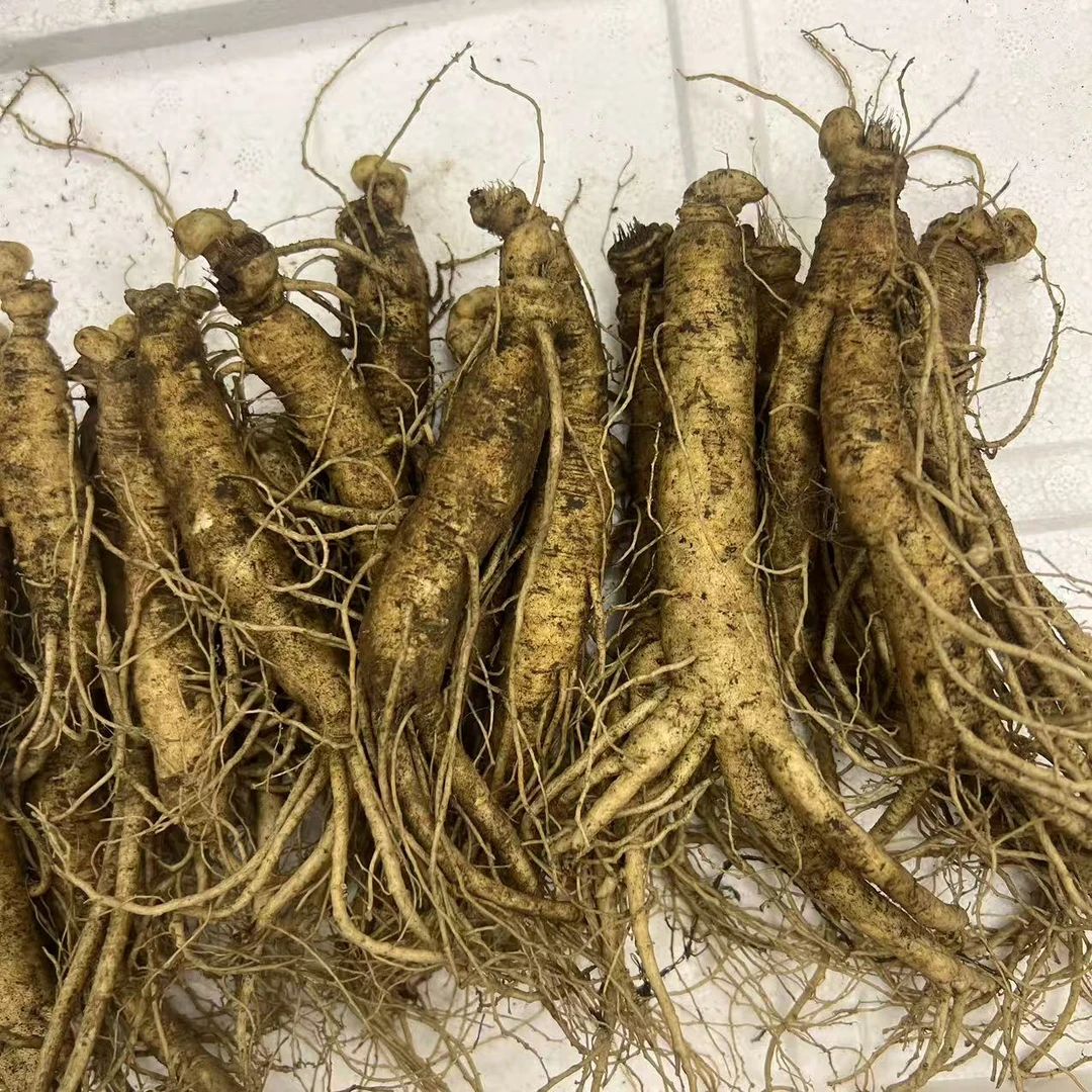 （精选）新鲜 人参  一斤20头左右