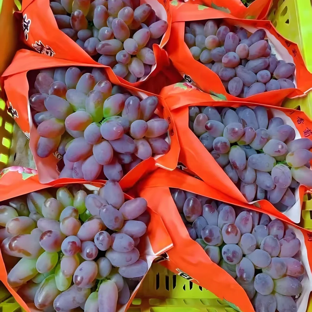 茉莉香葡萄17.8元450克左右云南省