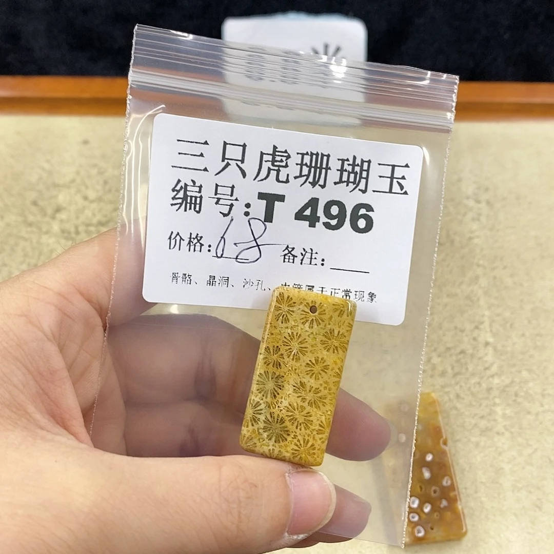 硅化珊瑚（珊瑚玉）1未镶嵌飘