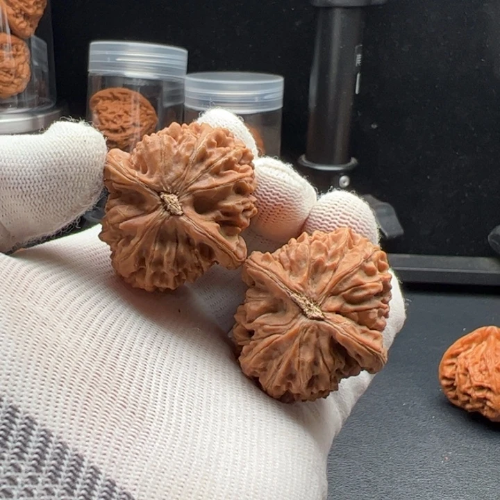 文玩核桃把件孙*生水龙福利