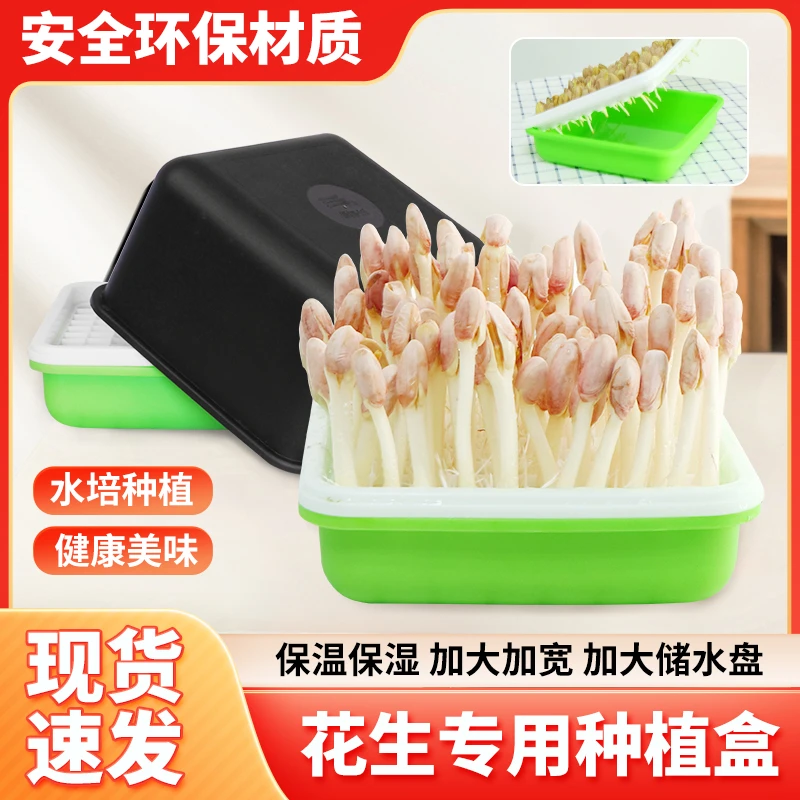 花生芽发芽神器家用花生苗种植网格盘盆生绿豆芽豆苗盒专用水培箱