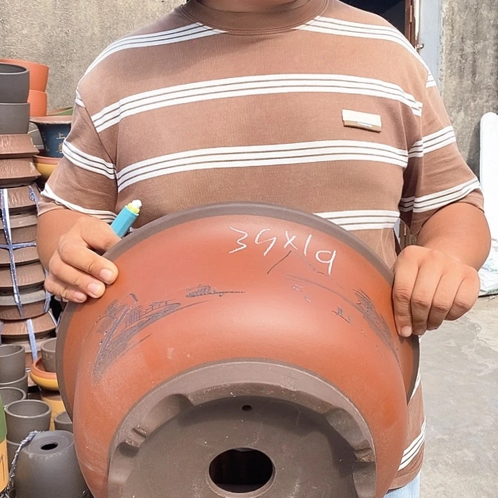 紫砂花盆盆栽植物观赏