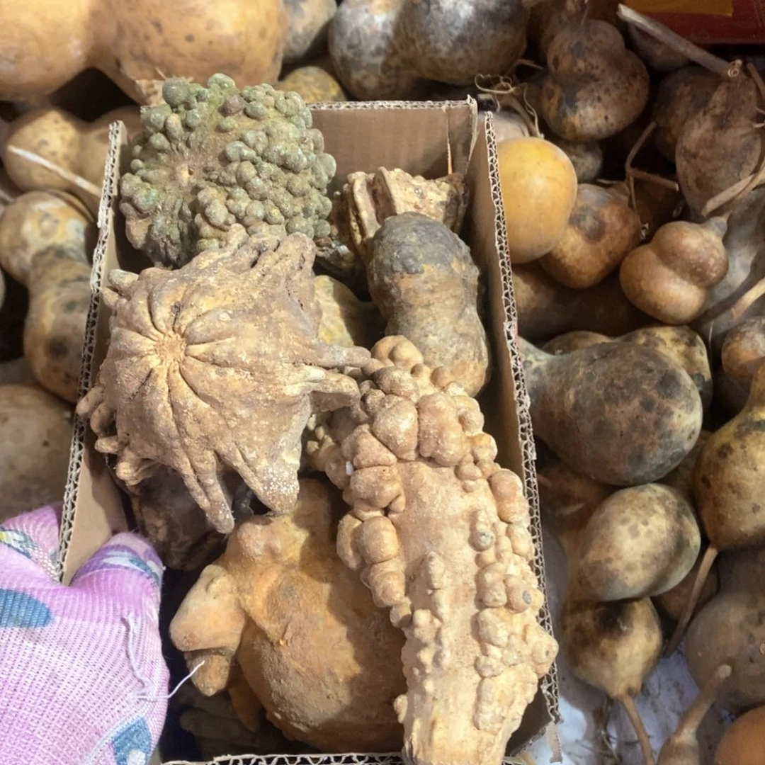 上**水文玩葫芦天然葫芦