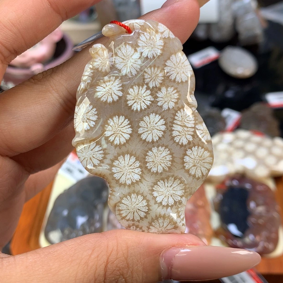 【闪购商品】颈饰未镶嵌硅化珊瑚（珊瑚玉）29号