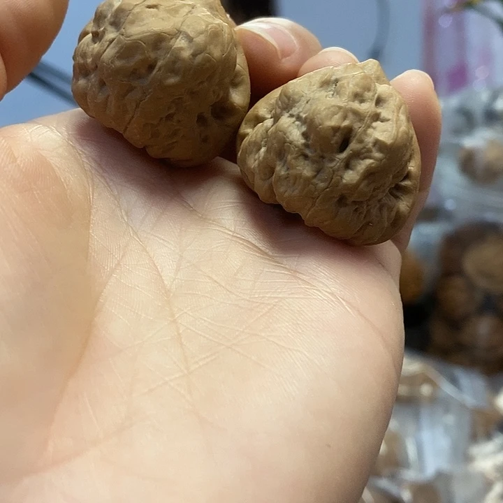 文玩核桃把件35三角古蝉