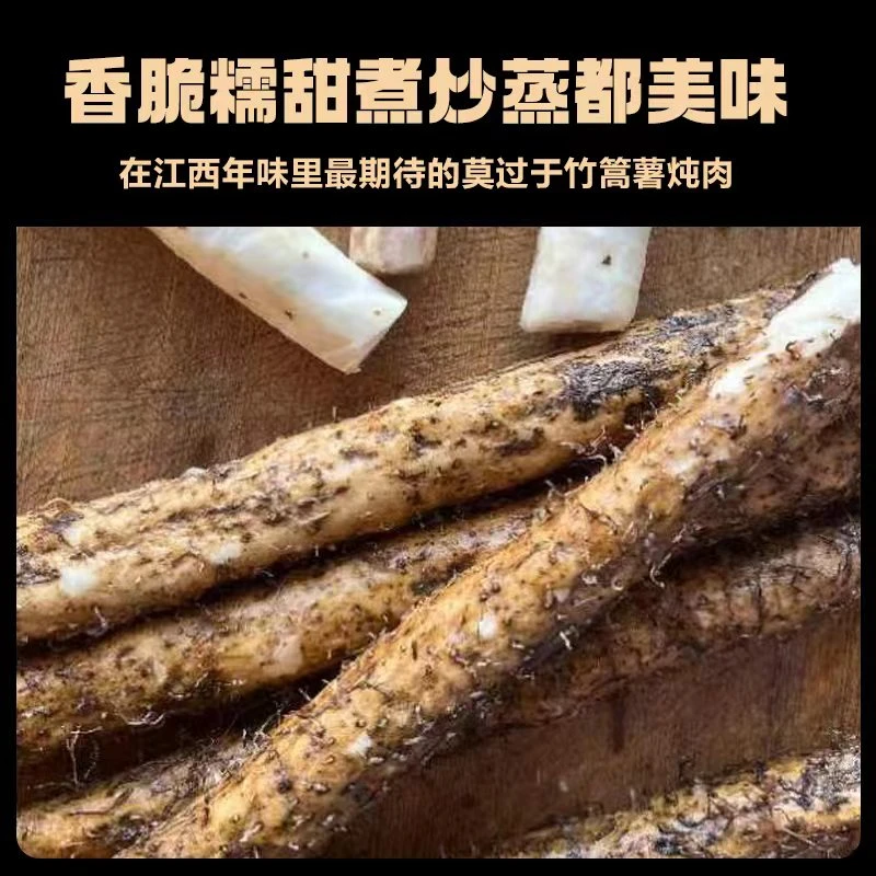 正宗泰和竹篙薯山药江西特产切断30公分长发货糯米薯新鲜喝茶瓜子