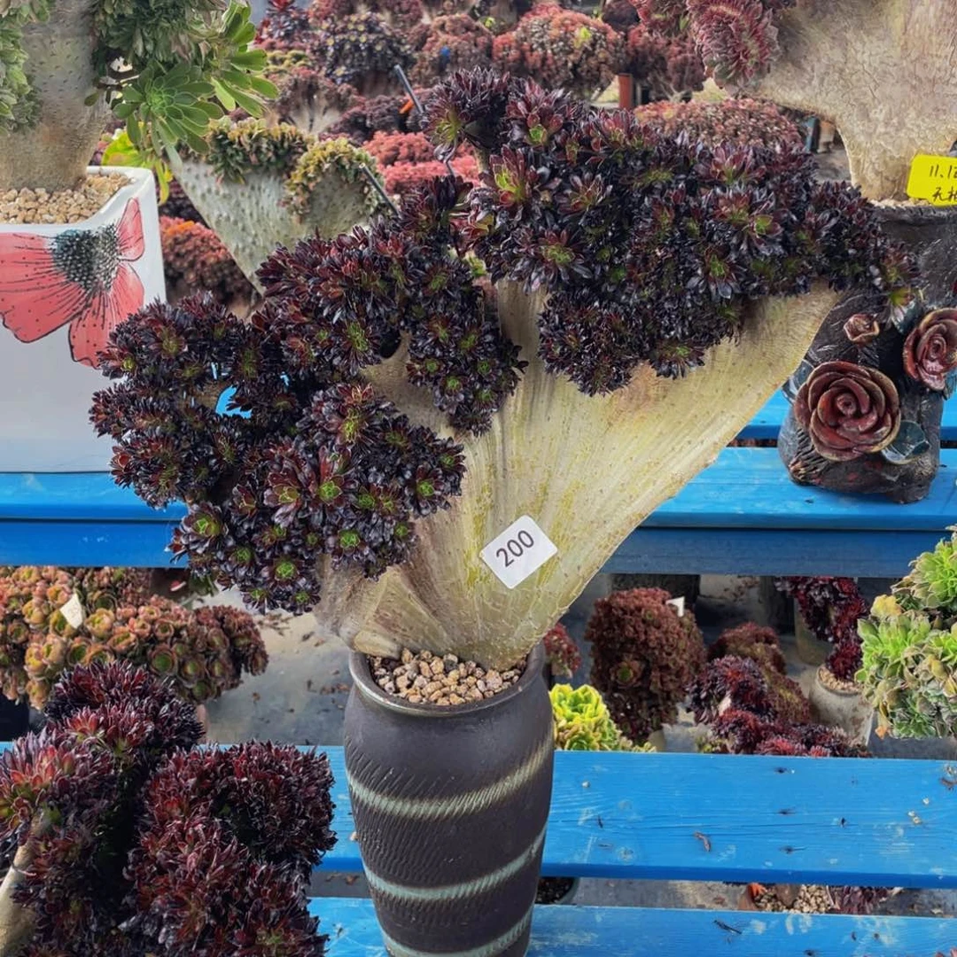 200号黑法师缀花