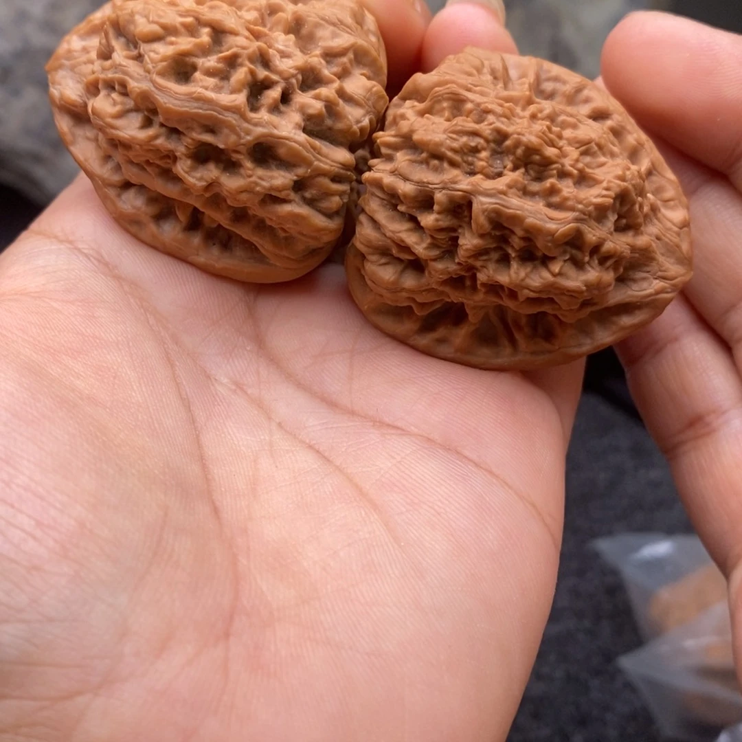 文玩核桃把件39金蟾