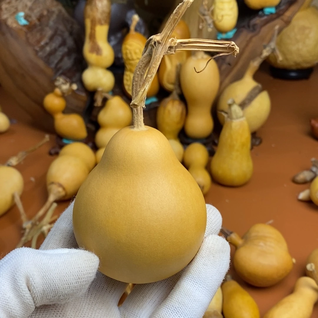 ****睡路途教练咯教练咯教练咯