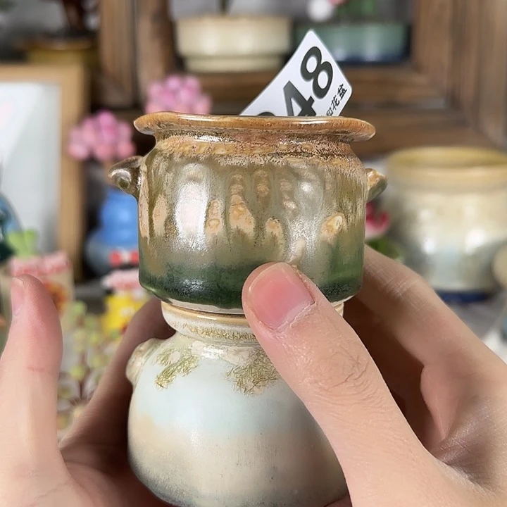 848 口3 福利特惠