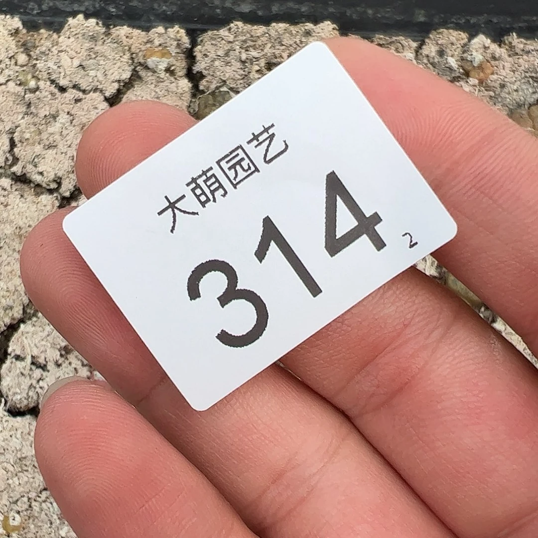 0000314 清框勋章脱土发无售后……