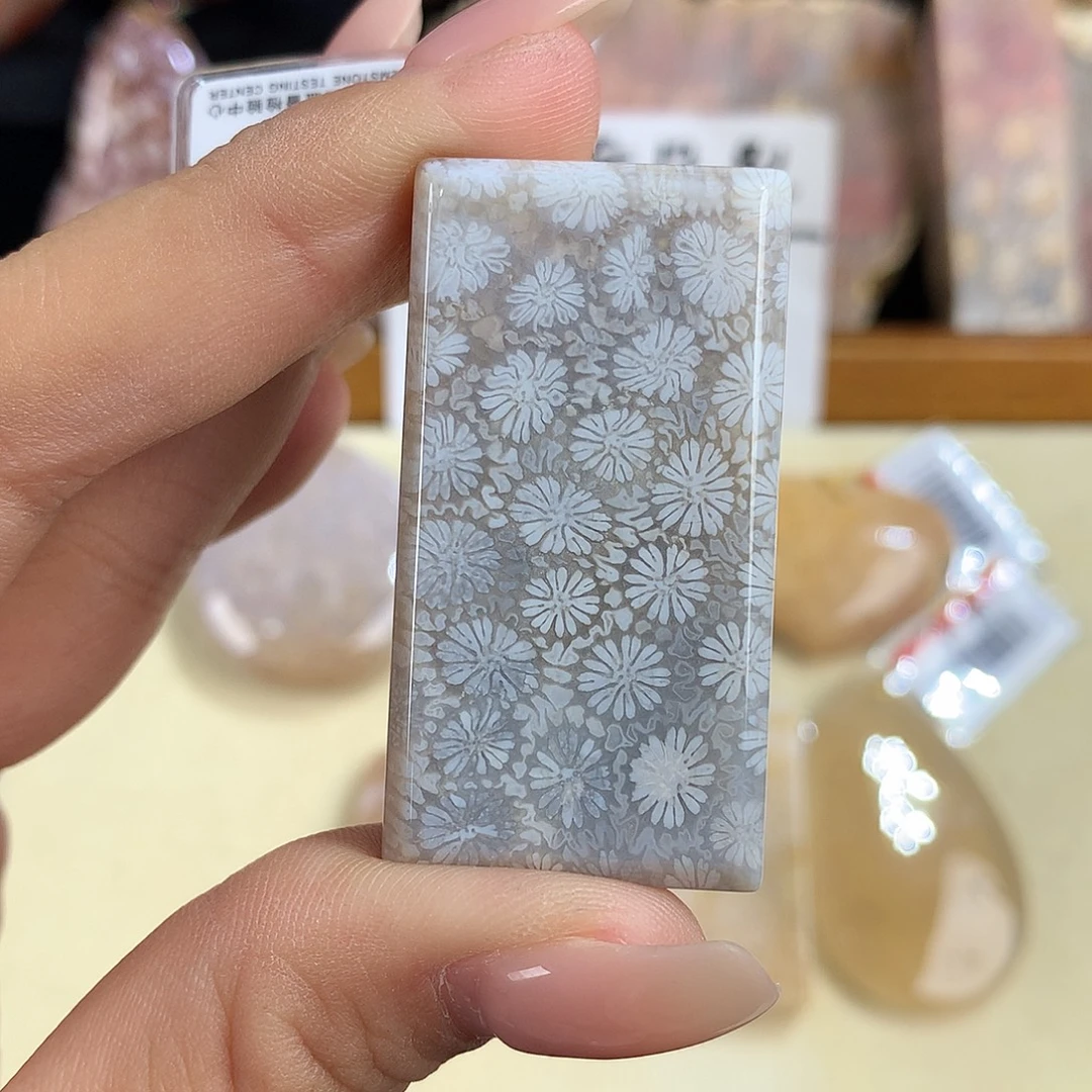 吊坠(赠链)未镶嵌硅化珊瑚（珊瑚玉）12号上新