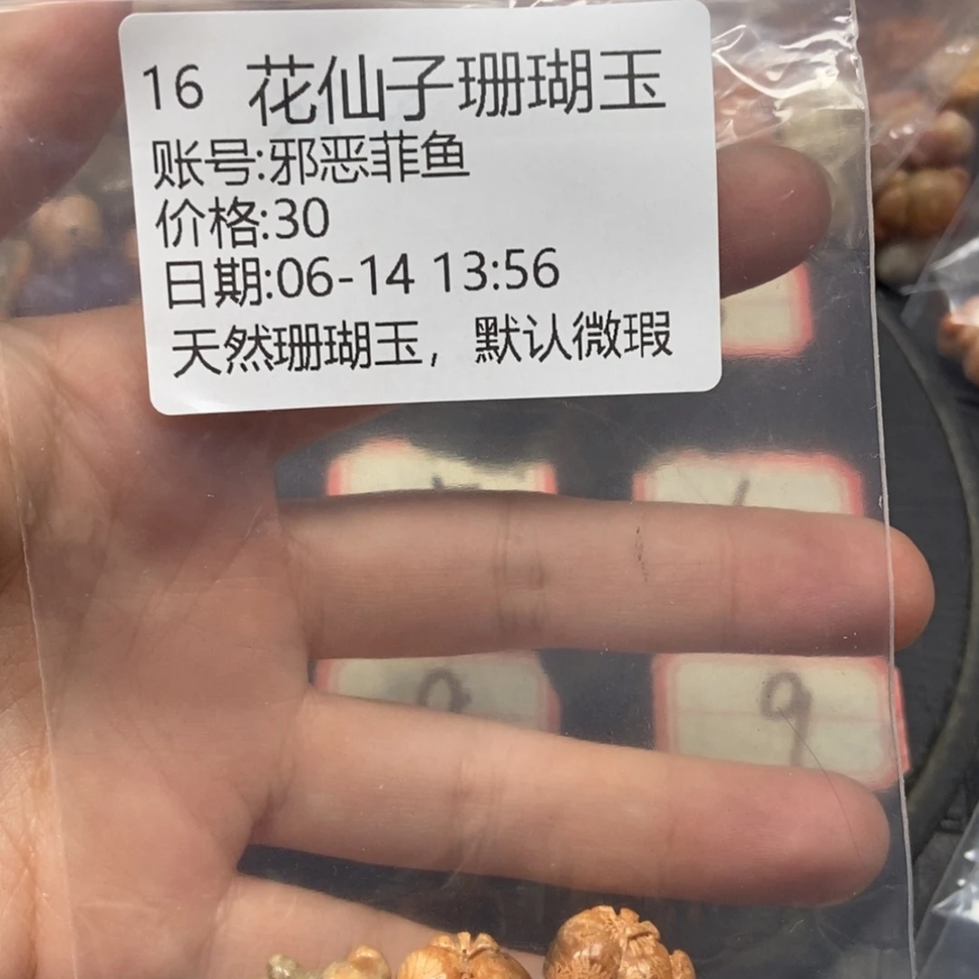 邪***鱼硅化珊瑚（珊瑚玉）硅化珊瑚玉合金16
