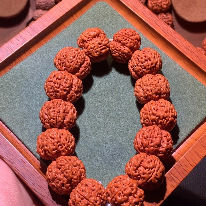 手串金刚菩提23+方尊金龙