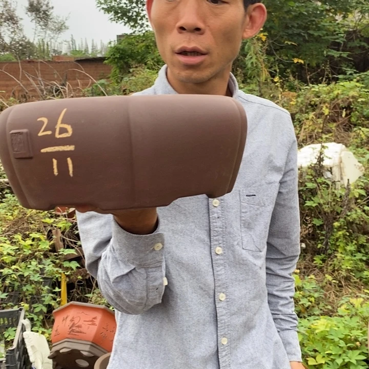 紫砂花盆没有人会觉得自己