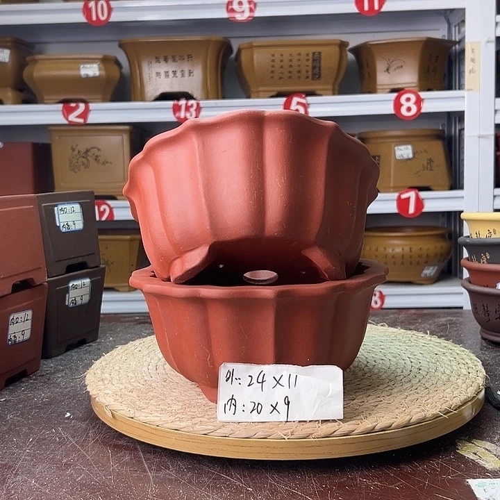 紫砂花盆蛇年大吉
