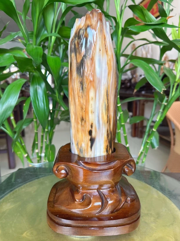高33cm重5.2斤缅甸树化玉木化玉摆件