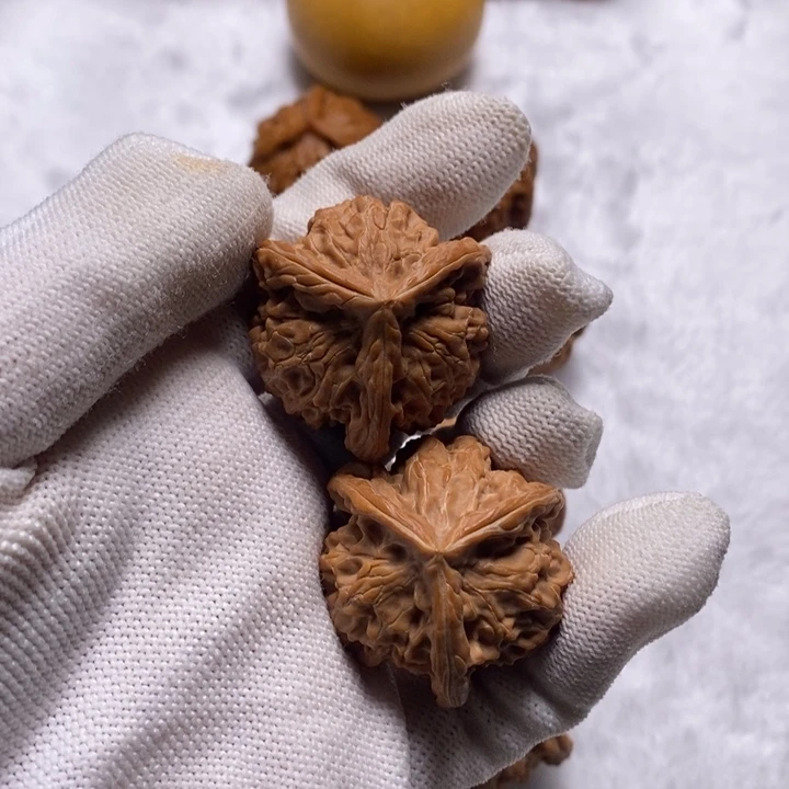 盘山三棱得得得得得