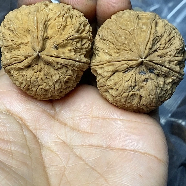 文玩核桃把件云南铁核桃52