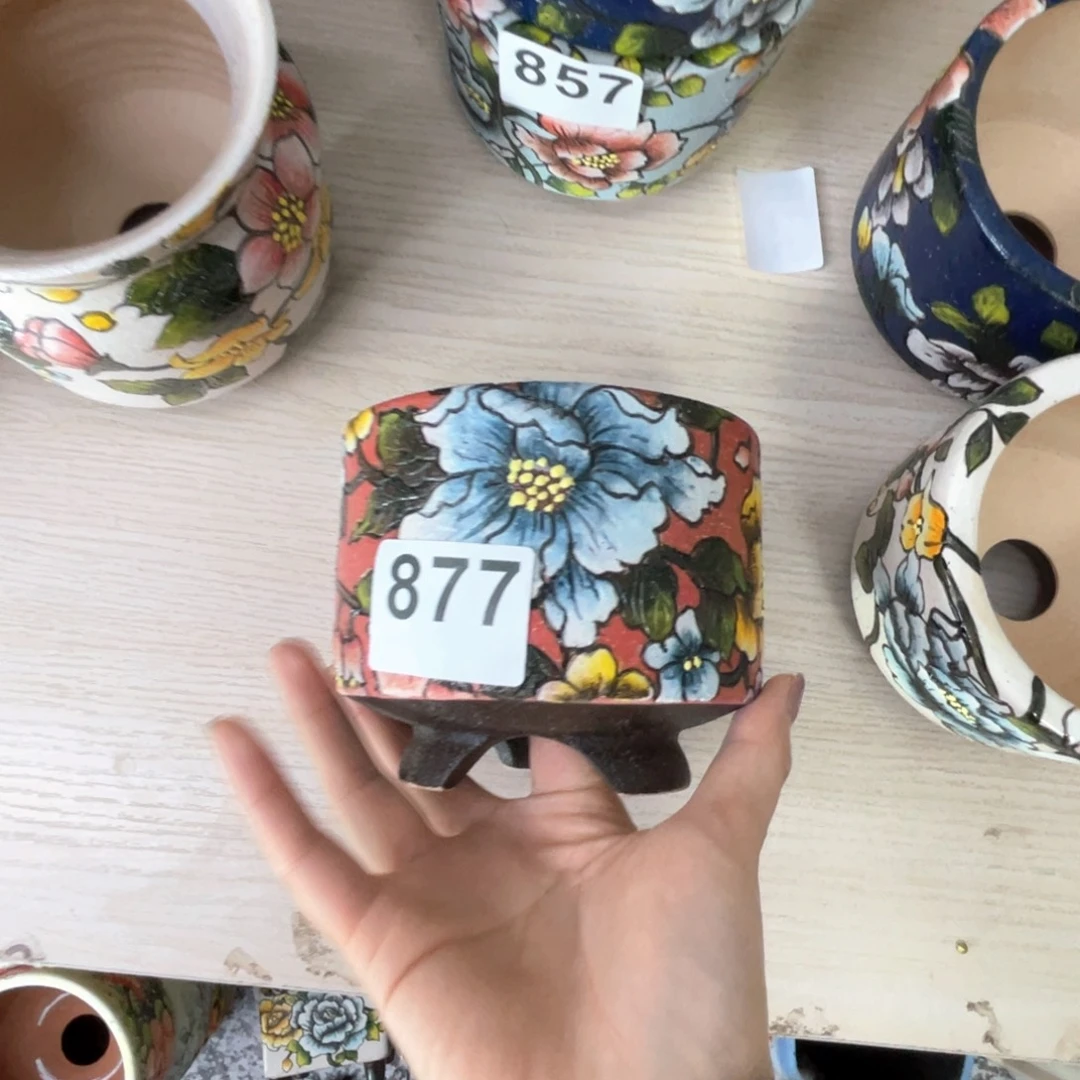 暮年1个666666666