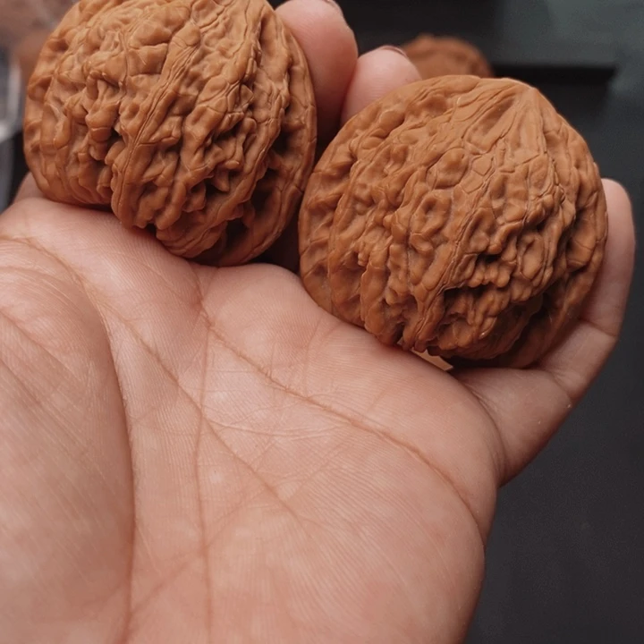 莫***求核桃虎头王45尺核桃