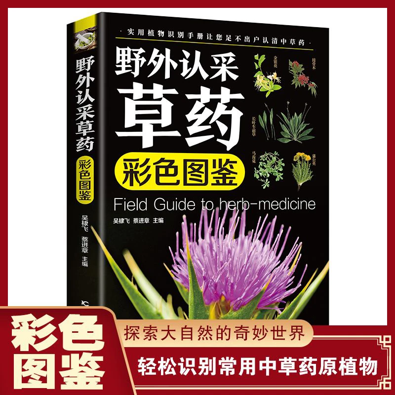 野外认采草药彩色图鉴中草药鉴别与应用实用草药大全植物野外书籍