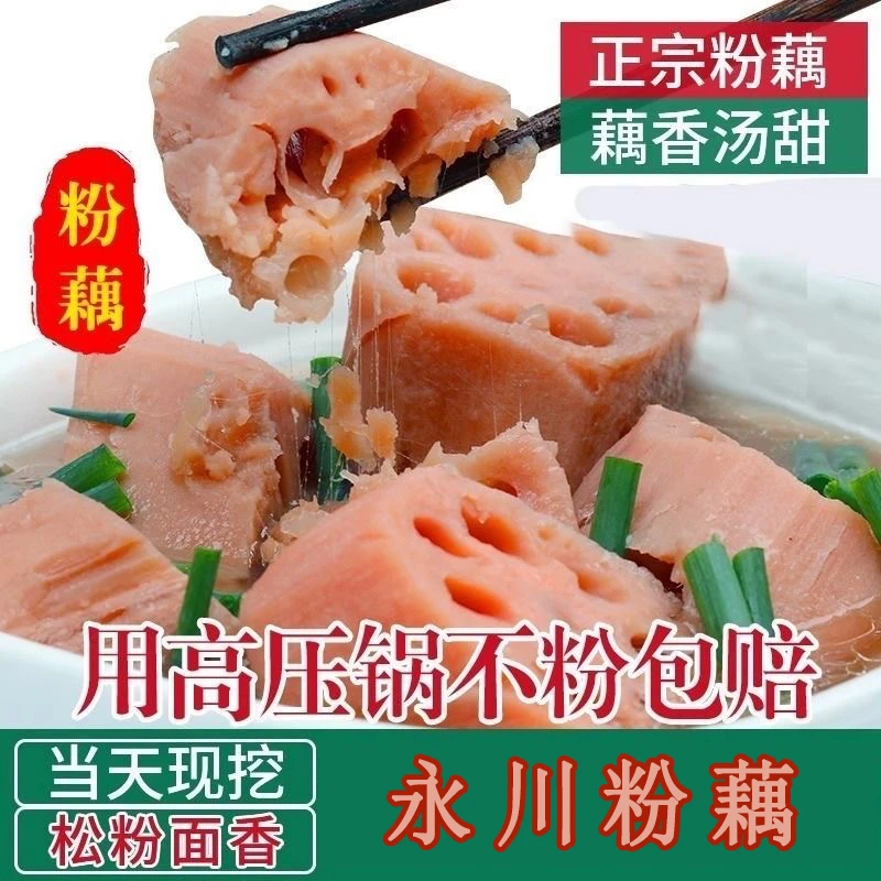 正宗永川粉藕莲藕新鲜煲汤粉藕现挖现发带泥发货认准3/5斤装粉藕