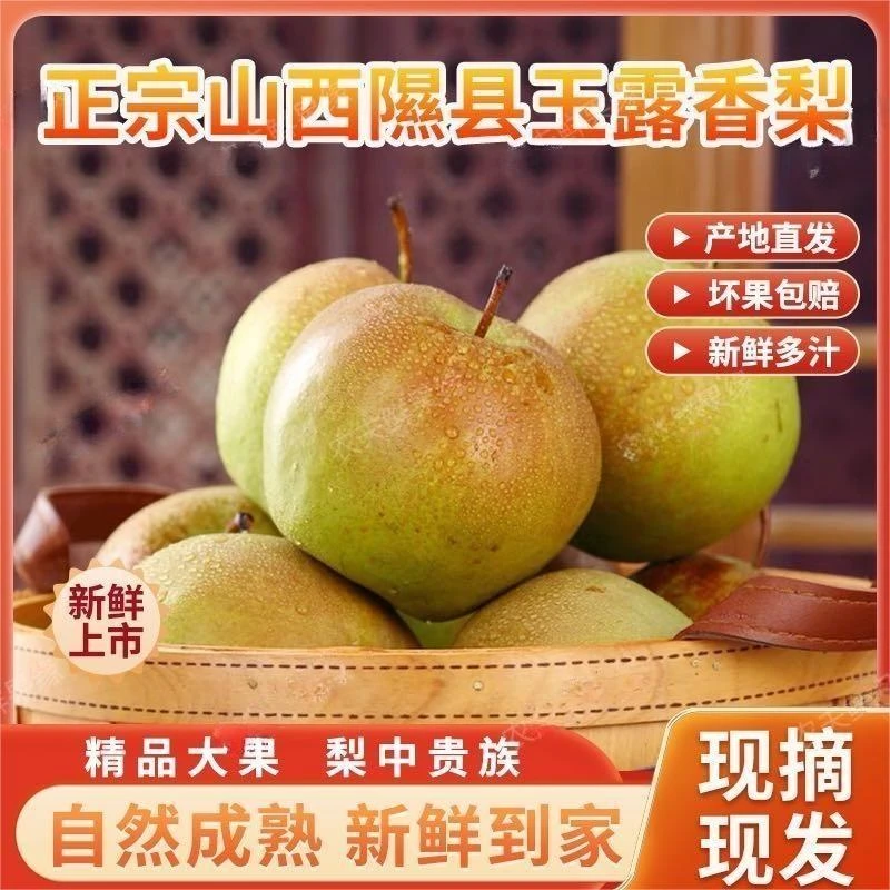 正宗山西隰县玉露香梨8斤精选好梨礼盒装口感香甜酥脆稀有新鲜