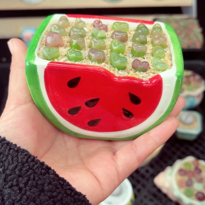 534零下地区记得拍保温箱满18包邮