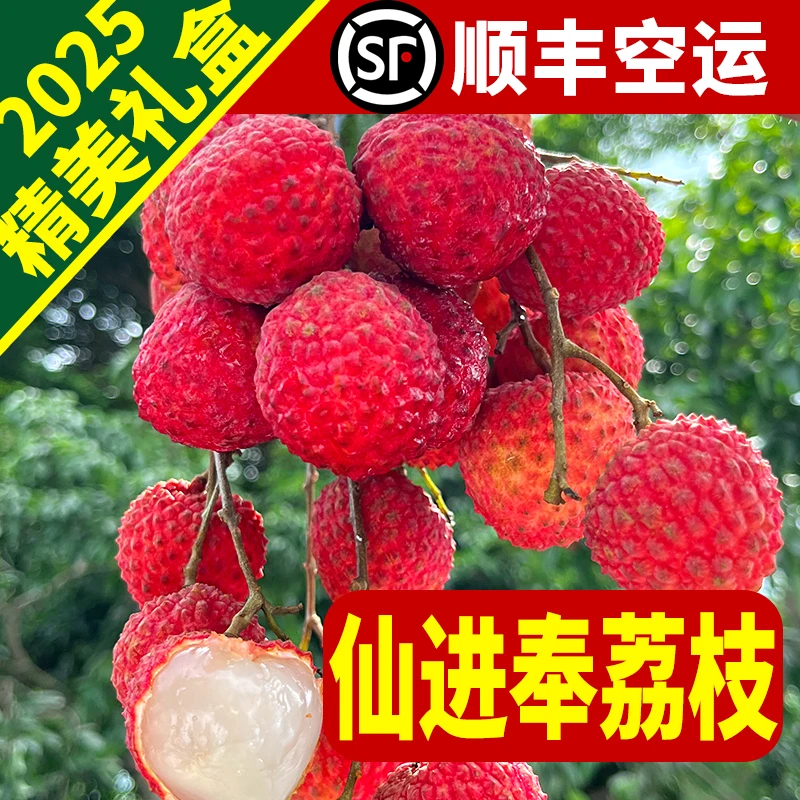 顺丰空运仙进奉荔枝南山芳姐3/5/8/10斤广东新鲜水果礼盒包邮