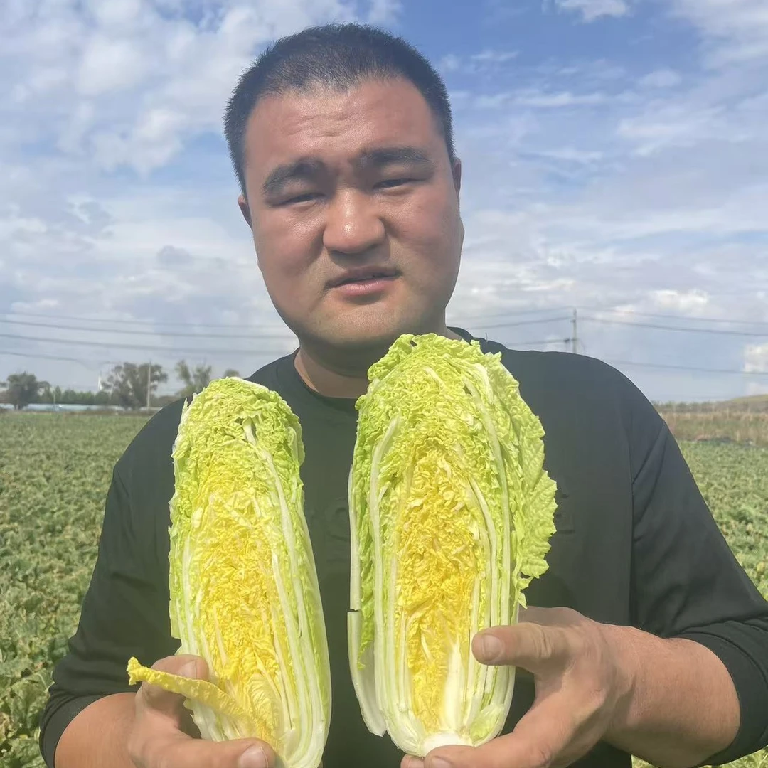 现拔现发凉拌露天霜打娃娃菜，新鲜时令蔬菜5斤/9斤装清炒脆嫩自种