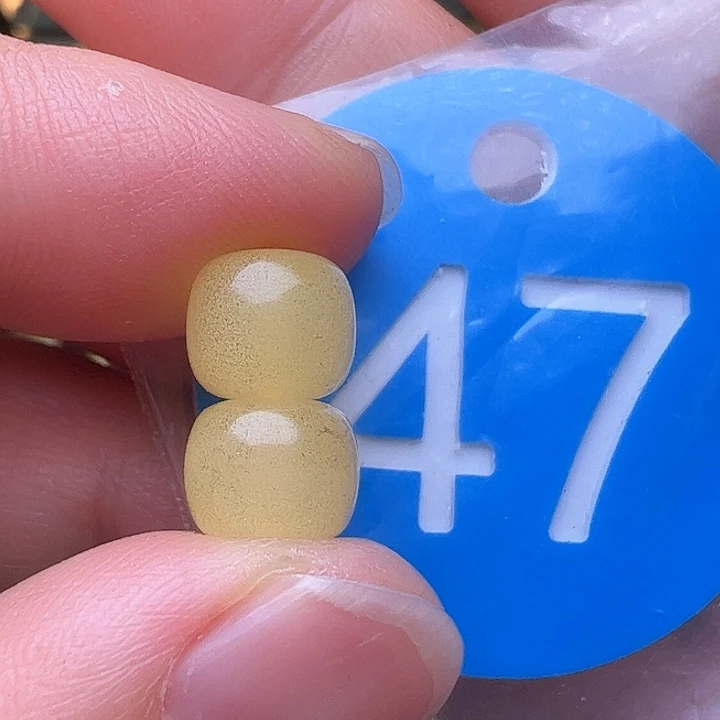 蜜蜡裸石未镶嵌8m m金沙