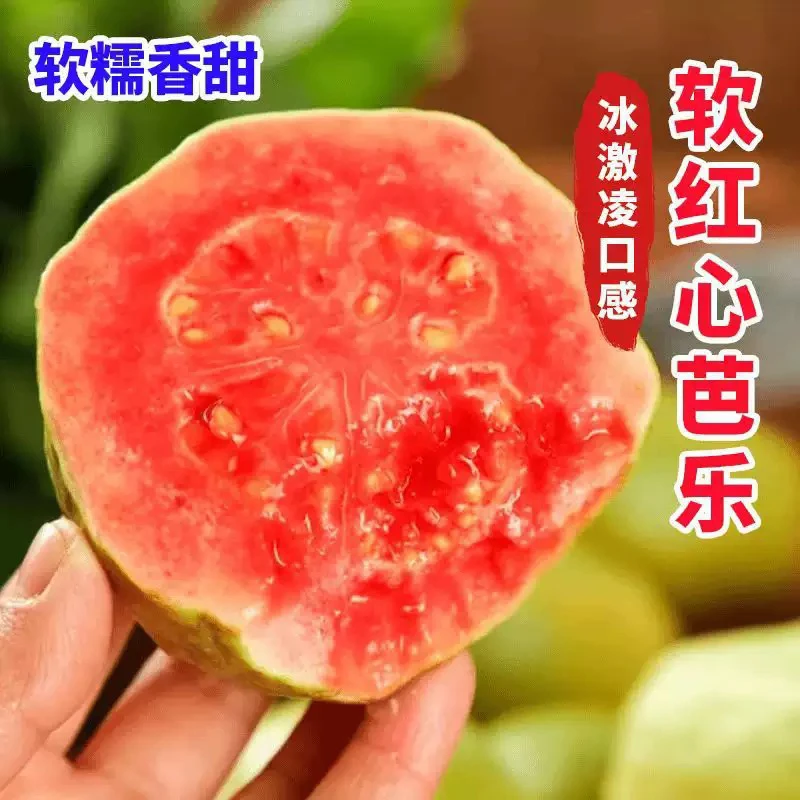 N福建软糯红心芭乐水果软心番石榴奶油鸡屎果新鲜巴乐果