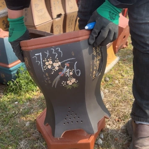 紫砂花盆紫砂花盆盆景盆栽